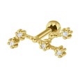 Leo Helix Ear Piercing TIP-3575